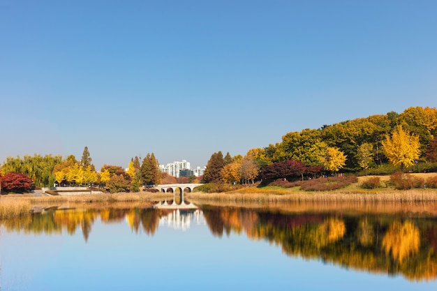 Herfstseizoen Park in Seoel, Zuid-Korea.