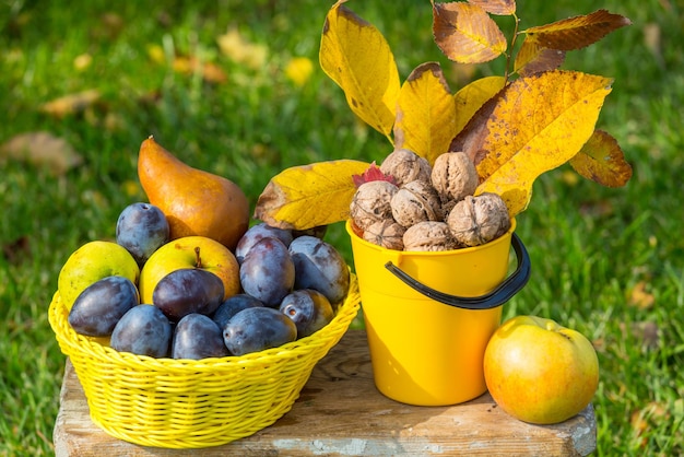 Herfstseizoenscène met oogst van fruit en walnoten in de tuin. schoonheid van de herfst.