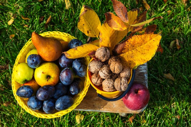 Herfstseizoenscène met oogst van fruit en walnoten in de tuin. schoonheid van de herfst.