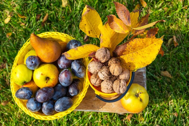 Herfstseizoenscène met oogst van fruit en walnoten in de tuin. Schoonheid van de herfst.