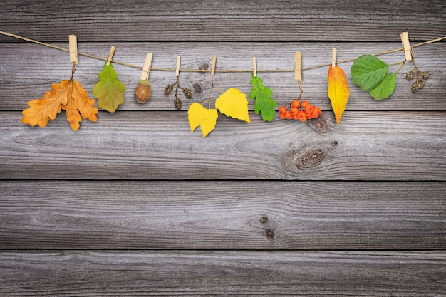 Foto herfstslinger van bladeren en planten die aan wasknijpers op houten achtergrond hangen