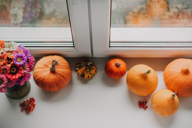 Herfststemming compositie frame gemaakt van pompoenen herfstbloemen en gelderse roos