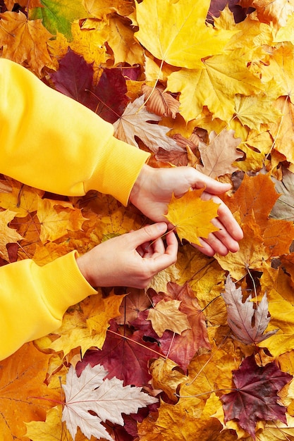 Herfststemming vrouwelijke handen in herfstbladeren