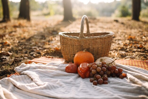 Herfststemming Wicker mand met herfst oogst op een picknick in het bos Pompoenen rode peper druiven