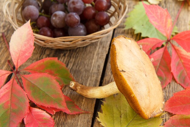 Herfststilleven met paddestoel, druiven in rieten mand, groene, gele en rode bladeren op houten planken