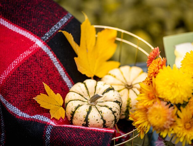 Foto herfststilleven met pompoenbloemen chrysanten en rode deken op tafel herfstachtergrond met herfstdecoraties