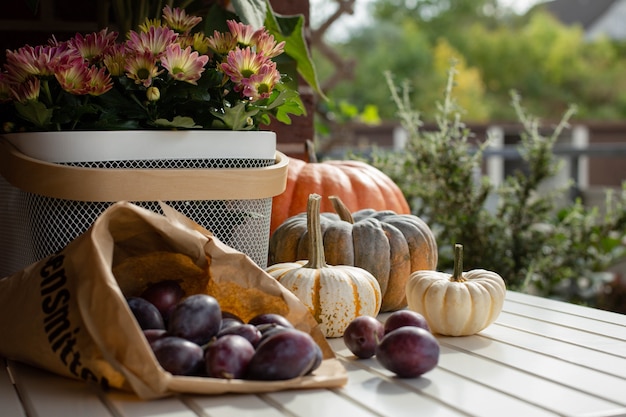 Herfststilleven met seizoensfruit, groenten, bloemen en kleurrijke pompoenen en rijpe pruimen. Selectieve aandacht.