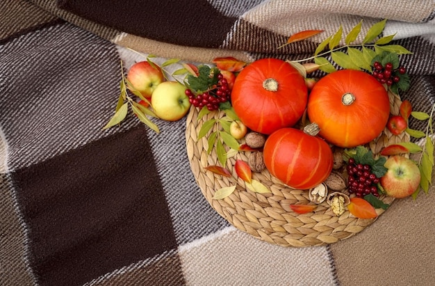 herfststilleven op straat