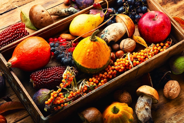 Herfststilleven van pompoenen, paddenstoelen, appels, vijgen en bessen.Fall food