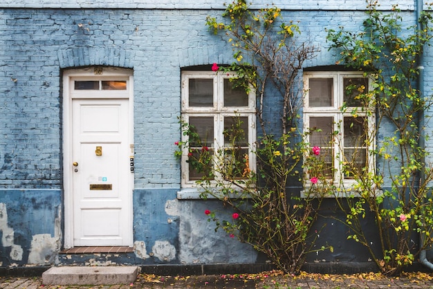 Herfststraat in Kopenhagen