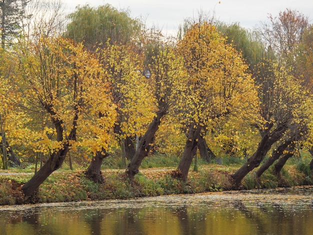 Herfsttijd in Westfalen