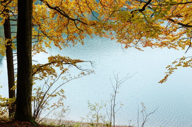 Herfstuitzicht op het meer van Synevyr