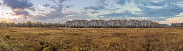 Herfstveld en bos, wolken verlicht door de dageraad