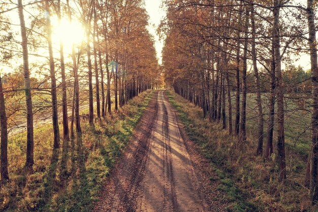 herfstweg bovenaanzicht, landschap in de herfst met drone