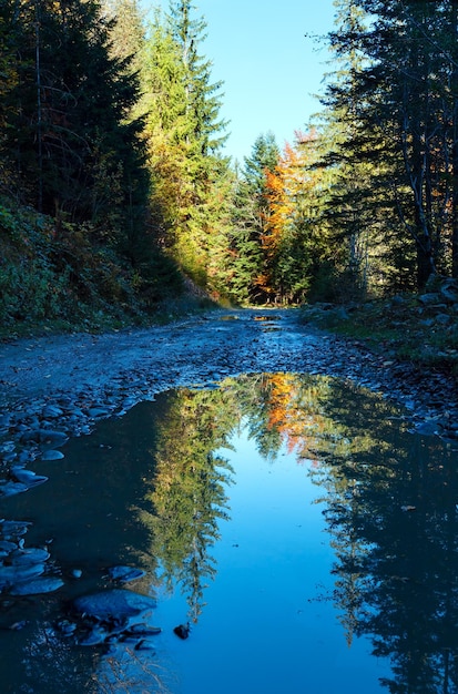 Herfstweg in Karpaten, Oekraïne