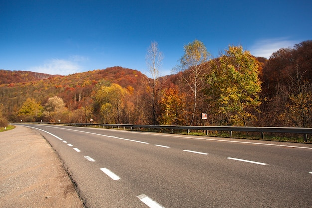 Herfstweg tussen de bergen in de Karpaten