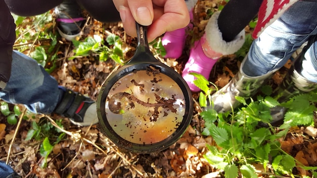 Foto herfstwurm op een vergrootglas