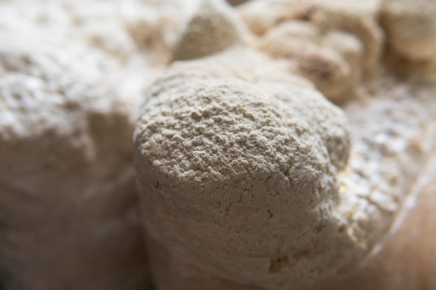 ヘリシウム・エリナセウス (Hericium erinaceus) は,精神的健康のための医療用ノートロピックキノコです.