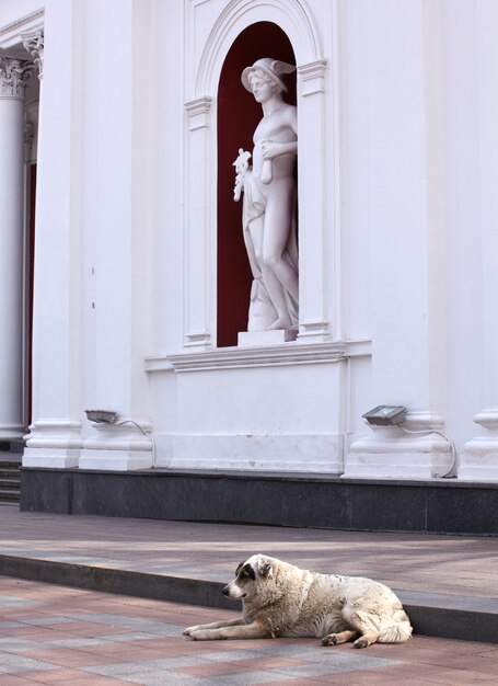 Hermes statue, Odessa