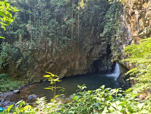 Photo hermosa cascada de agua natural en la region de cusco peru