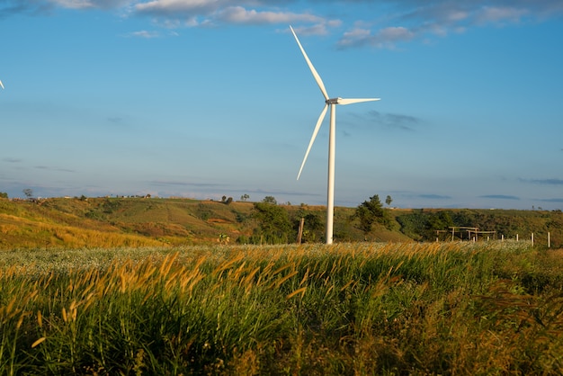 Hernieuwbare energie met windturbines