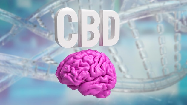 Hersenen en cbd-tekst voor medische of sci-concept 3D-rendering