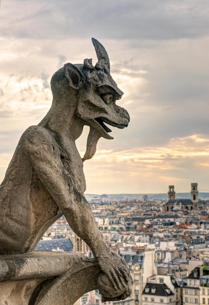 Hersenschim van de kathedraal van Notre Dame de Paris met uitzicht op Parijs