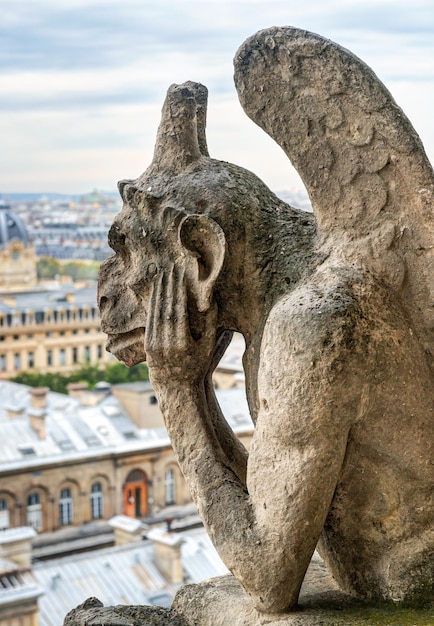 Hersenschim van de kathedraal van Notre Dame de Paris met uitzicht op Parijs