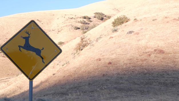 Herten die gele verkeersbord kruisen Californië usa wild dier xing verkeersveiligheid