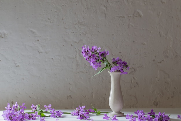 Hesperis matronali bloemen in vaas