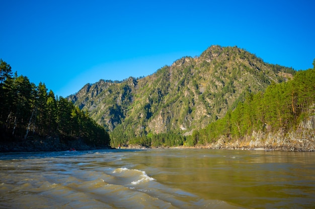 Het altay-landschap met de katun van de bergrivier en groene rotsen in de lente siberië altai republiek