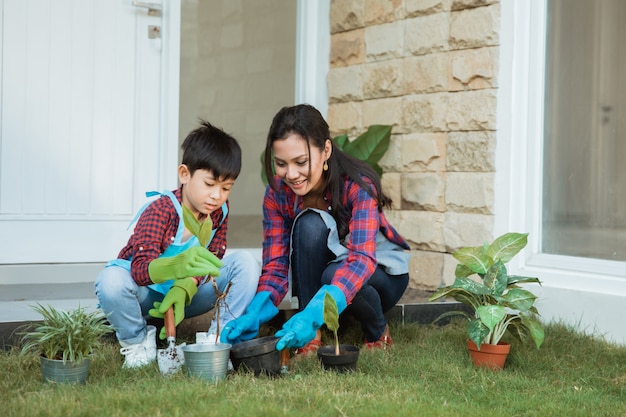 Het Aziatische mamma en haar zoon die een installatie planten tuinieren thuis