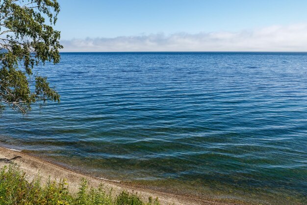 Het Baikalmeer golven bij de kust helder water in het meer