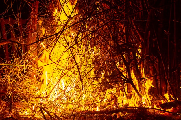 Het beeld van logboeken in het brandende vuur. Vlam van het brandende vuur.