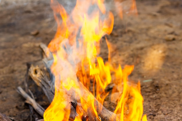 Het beeld van logboeken in het brandende vuur