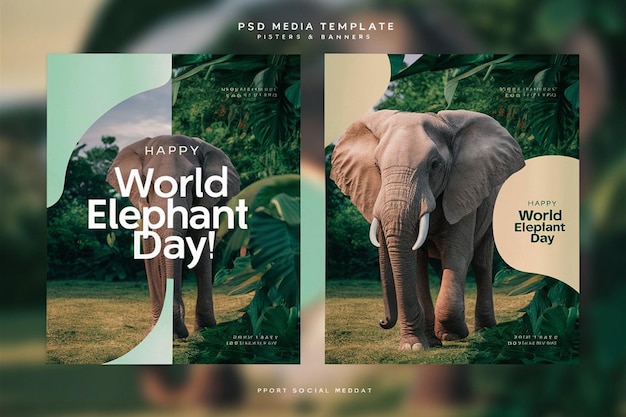 Het belang van de Wereld Olifantendag