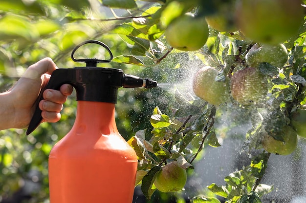 Het bespuiten van appelbomen in de appeltuin tegen ziekten en ongedierte Het bespuiten van pesticiden Herbiciden