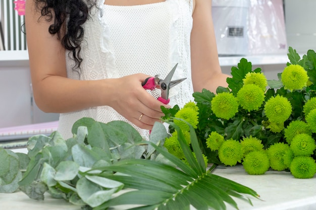 Het bloemistmeisje snoeit groene chrysanten. het creëren van een boeket verse bloemen.