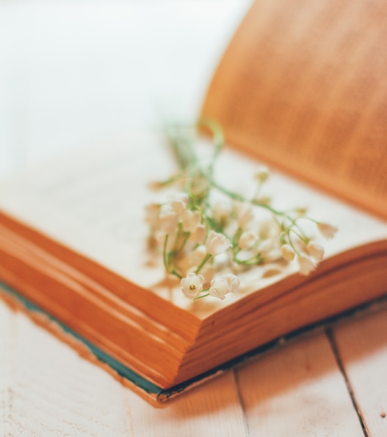 Het boeket van Lelietje-van-dalen bloeit op een open oud boek op een witte uitstekende lijst, ondiepe diepte van gebied