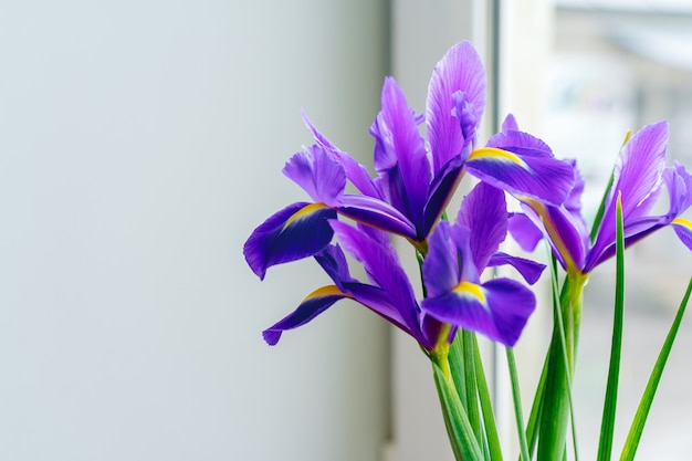 Het boeket van verse bloemen op een lijst, sluit omhoog