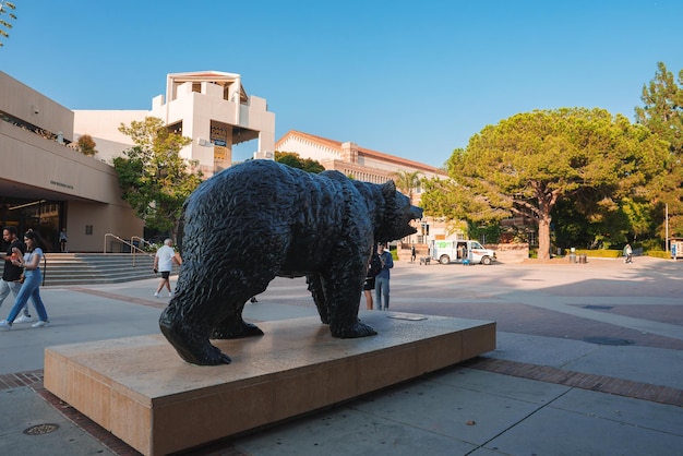 Het Bruin Bear standbeeld op de campus van UCLA