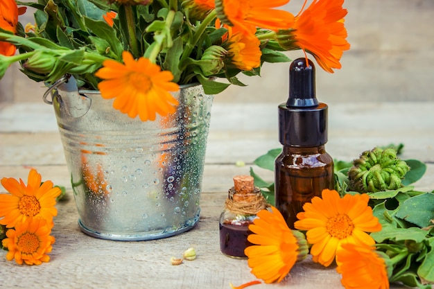 Het calendula-extract. Medicinale planten. Selectieve aandacht.