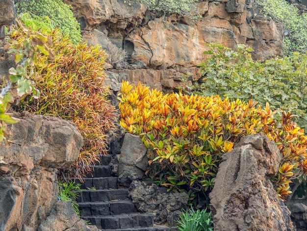 het Canarische eiland Lanzarote