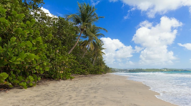 Het Caribische strand Martinique eiland