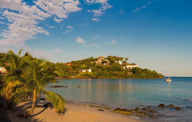 Het Caribische strand Martinique