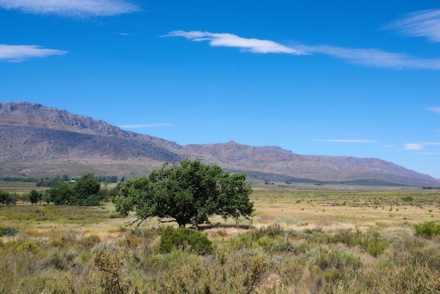 Het Cederberg Wilderness Area beheerd door Cape Nature Conservation