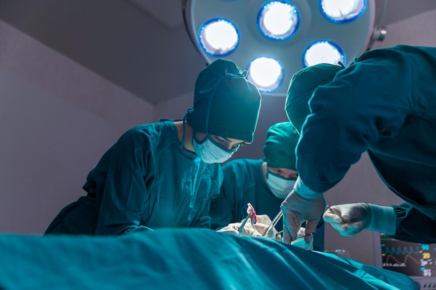 Het chirurgenteam werkt in de operatiekamer. De chirurg redt het leven van de patiënt.