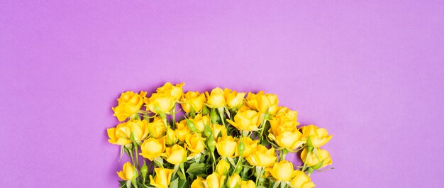 Het concept van de de lentezomer met gele rozenbloemen op purpere lijst achtergrond romantische ruimte vrije ruimte exemplaar romantische ruimte
