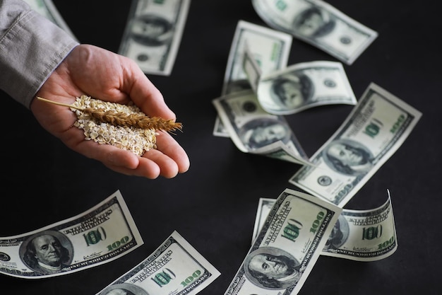 Het concept van de kosten van graan 100 dollar biljetten rond een handvol gemalen graan Honger in de wereld