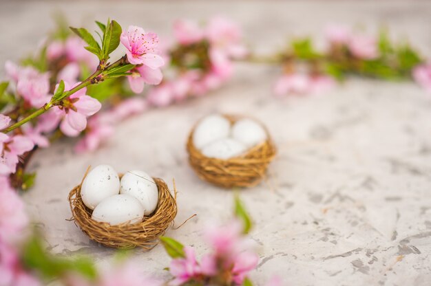 Het concept van de lente Paaskaart. Eieren in het nest en bloeiende tak in roze kleuren close-up en kopieer de ruimte.